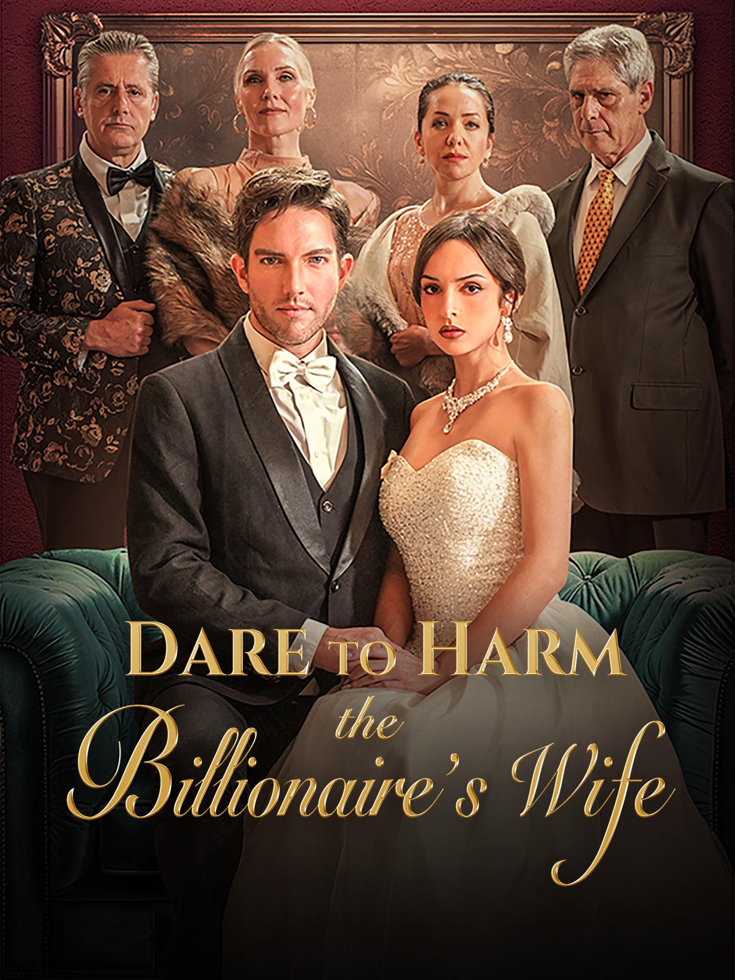Dare to Harm the Billionaire’s Wife? poster